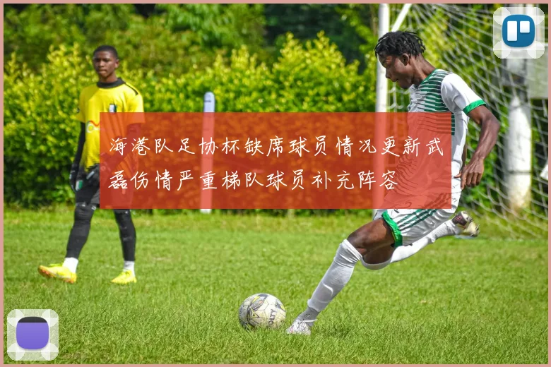 海港队足协杯缺席球员情况更新武磊伤情严重梯队球员补充阵容
